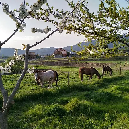 Les Roviles
